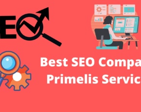 Best Seo Company Primelis: They Will Help To Rank Your Website In 2022