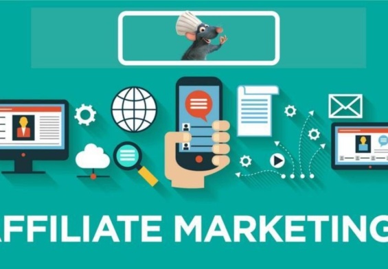 8 Best Affiliate Programs and How to Simply Create Yours