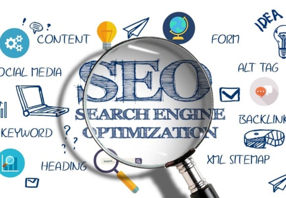 How to Select the Best Professional SEO Services for your Business in NZ