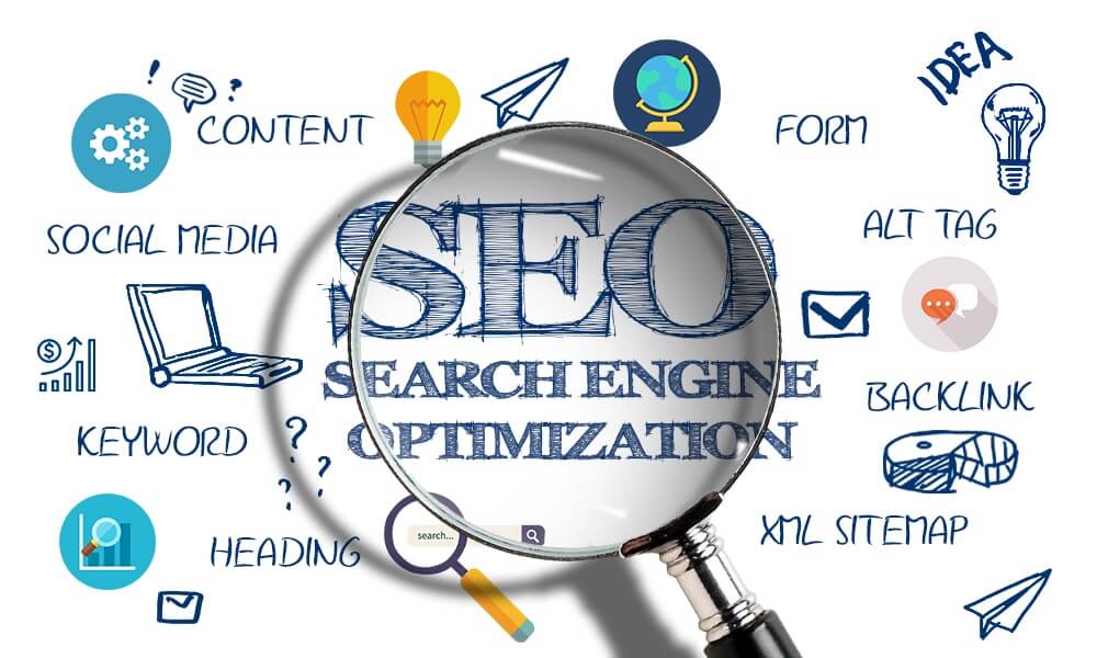 How to Select the Best Professional SEO Services for your Business in NZ