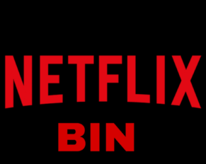 Best Way To Use Bins | Bin Netflix 2021