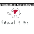 Is Hazel and Bo an American Company? Complete Overview