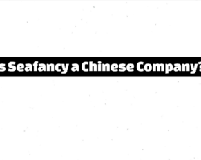 Is Seafancy a Chinese Company